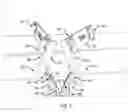 Fig. 03 - Securement apparatus and use thereof