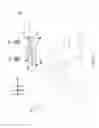 Fig. 03 - Haptic driving guidance system
