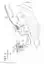 Fig. 06 - Gap concealing structure for vehicle