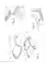Fig. 05 - Vehicle load-bearing structure