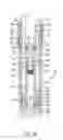 Fig. 07 - Adjustable seatpost