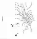 Fig. 07 - Sequential gear shifter
