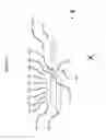 Fig. 08 - Sequential gear shifter