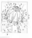 Fig. 16 - Rotor systems and methods