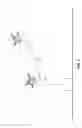 Fig. 05 - Inhibiting cable entanglement in tethered drones