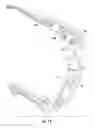 Fig. 15 - Adjustable armrest assembly
