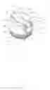 Fig. 01 - Beverage container closure with venting