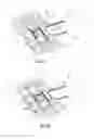 Fig. 04 - Device for gripping loads of variable sizes, and corresponding method for adapting gripping width