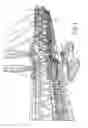 Fig. 05 - Transfer bridge for coarse bulk materials
