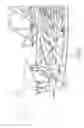 Fig. 07 - Transfer bridge for coarse bulk materials