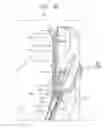 Fig. 10 - Moving gate for guiding print media