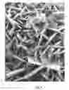 Fig. 05 - Method for producing metal nitrides and metal carbides