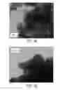 Fig. 04 - Methods of producing composite zeolite catalysts for heavy reformate conversion into xylenes