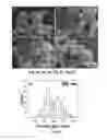 Fig. 05 - Method of producing high performance lithium titanate anode material for lithium ion battery applications