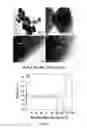 Fig. 08 - Method of producing high performance lithium titanate anode material for lithium ion battery applications