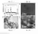 Fig. 02 - Photochemically-assisted synthesis of layered birnessite (MnO) nanosheets