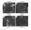 Fig. 14 - Photochemically-assisted synthesis of layered birnessite (MnO) nanosheets