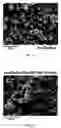 Fig. 21 - Method for removing heavy metals from wastewater