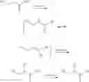 Fig. 28 - LIPID COMPOUNDS AND COMPOSITIONS AND THEIR OPTHALMIC USE