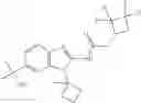 Fig. 149 - Kv7 channel activators compositions and methods of use