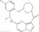 Fig. 197 - Chiral diaryl macrocycles as modulators of protein kinases