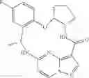Fig. 96 - Chiral diaryl macrocycles as modulators of protein kinases