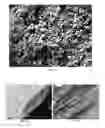 Fig. 08 - Mechanically shaped 2-dimensional covalent organic frameworks
