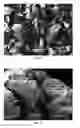 Fig. 09 - Mechanically shaped 2-dimensional covalent organic frameworks