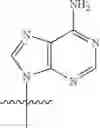 Fig. 110 - Cyclopentane-based modulators of STING (stimulator of interferon genes)