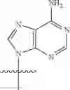 Fig. 32 - Cyclopentane-based modulators of STING (stimulator of interferon genes)