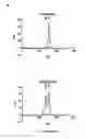 Fig. 13 - Method for preparing multimeric forms of the hepatitis c virus (HCV) envelope glycoprotein 2 (HCV E2)