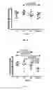 Fig. 34 - Method for preparing multimeric forms of the hepatitis c virus (HCV) envelope glycoprotein 2 (HCV E2)