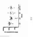 Fig. 37 - Method for preparing multimeric forms of the hepatitis c virus (HCV) envelope glycoprotein 2 (HCV E2)