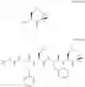 Fig. 51 - Processes for the preparation of carfilzomib or pharmaceutically acceptable salts thereof