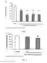 Fig. 02 - PEPTIDES AND PEPTIDE CONJUGATES FOR TREATING MENTAL DISORDERS