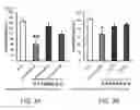 Fig. 03 - PEPTIDES AND PEPTIDE CONJUGATES FOR TREATING MENTAL DISORDERS