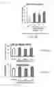 Fig. 04 - PEPTIDES AND PEPTIDE CONJUGATES FOR TREATING MENTAL DISORDERS