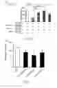 Fig. 07 - PEPTIDES AND PEPTIDE CONJUGATES FOR TREATING MENTAL DISORDERS