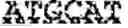 Fig. 06 - RNA-CODED ANTIBODY