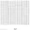 Fig. 09 - RNA-CODED ANTIBODY