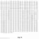 Fig. 13 - RNA-CODED ANTIBODY