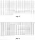 Fig. 14 - RNA-CODED ANTIBODY