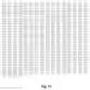 Fig. 17 - RNA-CODED ANTIBODY