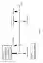 Fig. 02 - DNA ANTIBODY CONSTRUCTS FOR USE AGAINST LYME DISEASE