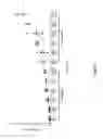 Fig. 06 - DNA ANTIBODY CONSTRUCTS FOR USE AGAINST LYME DISEASE