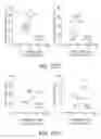 Fig. 40 - Modulation of Type I Interferons to Reactivate HIV-1 Reservoir and Enhance HIV-1 Treatment
