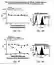 Fig. 07 - DR5 RECEPTOR AGONIST COMBINATIONS