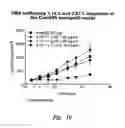 Fig. 11 - DR5 RECEPTOR AGONIST COMBINATIONS