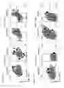 Fig. 07 - Anti-OX40 antibodies