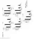 Fig. 13 - Anti-OX40 antibodies
